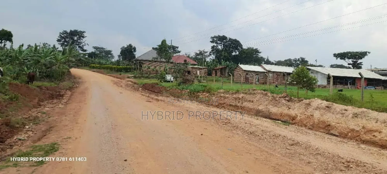 Prime Plots For Sale At Kakiri~Katikamu Land Estate~Hoima Rd in Kakiri