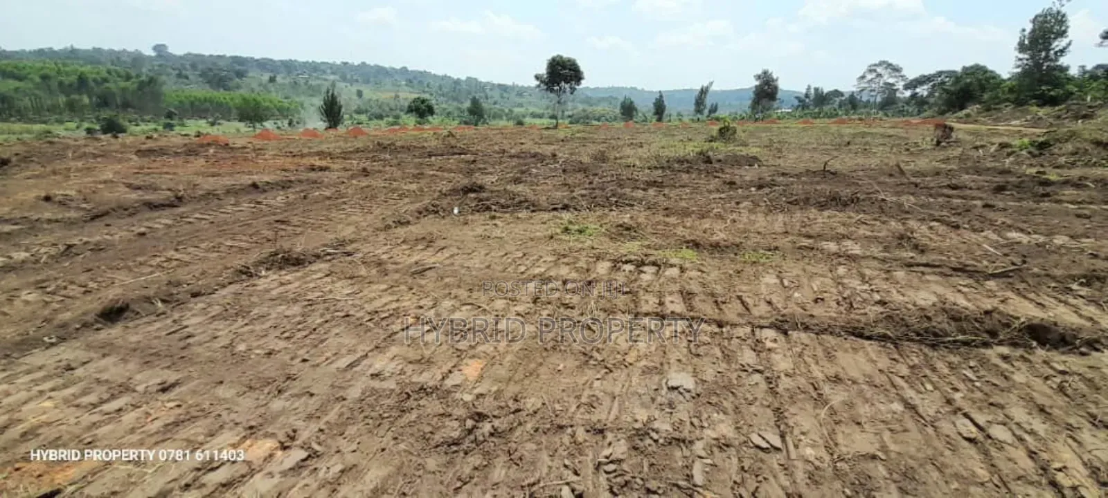 Prime Plots For Sale At Kakiri~Katikamu Land Estate~Hoima Rd in Kakiri
