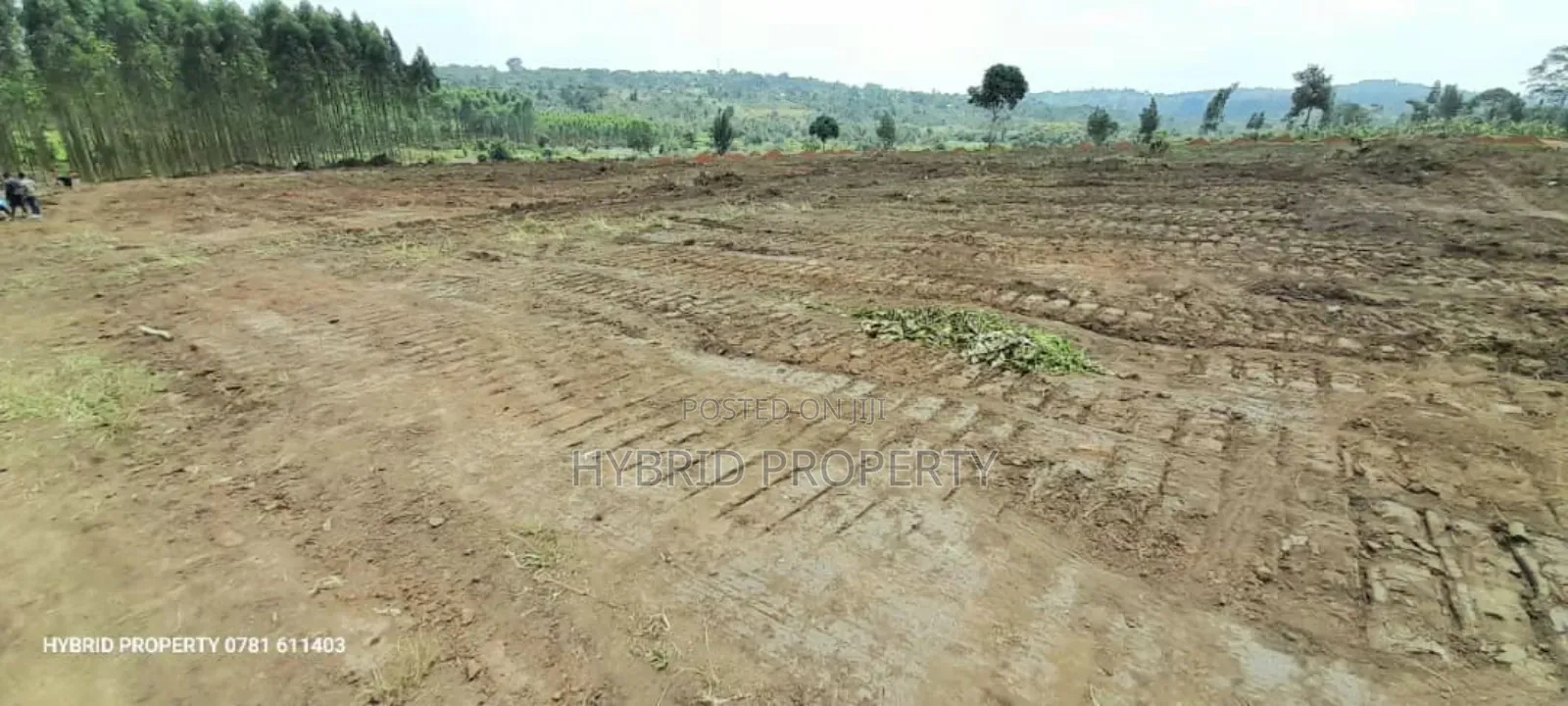 Prime Plots For Sale At Kakiri~Katikamu Land Estate~Hoima Rd in Kakiri