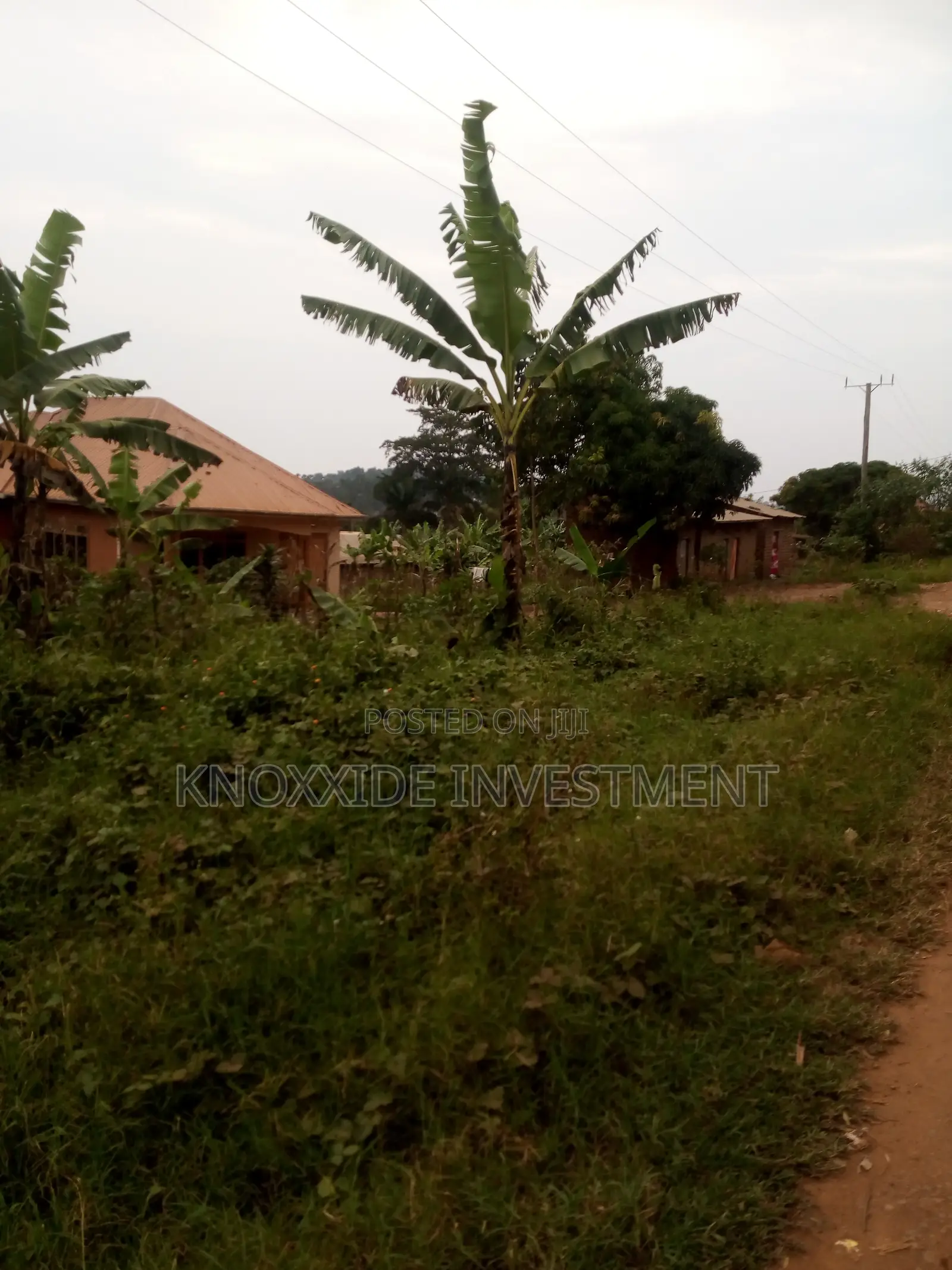 Plot for Sale 60x40ft at 10m Ugx Sentema Town in Central Division