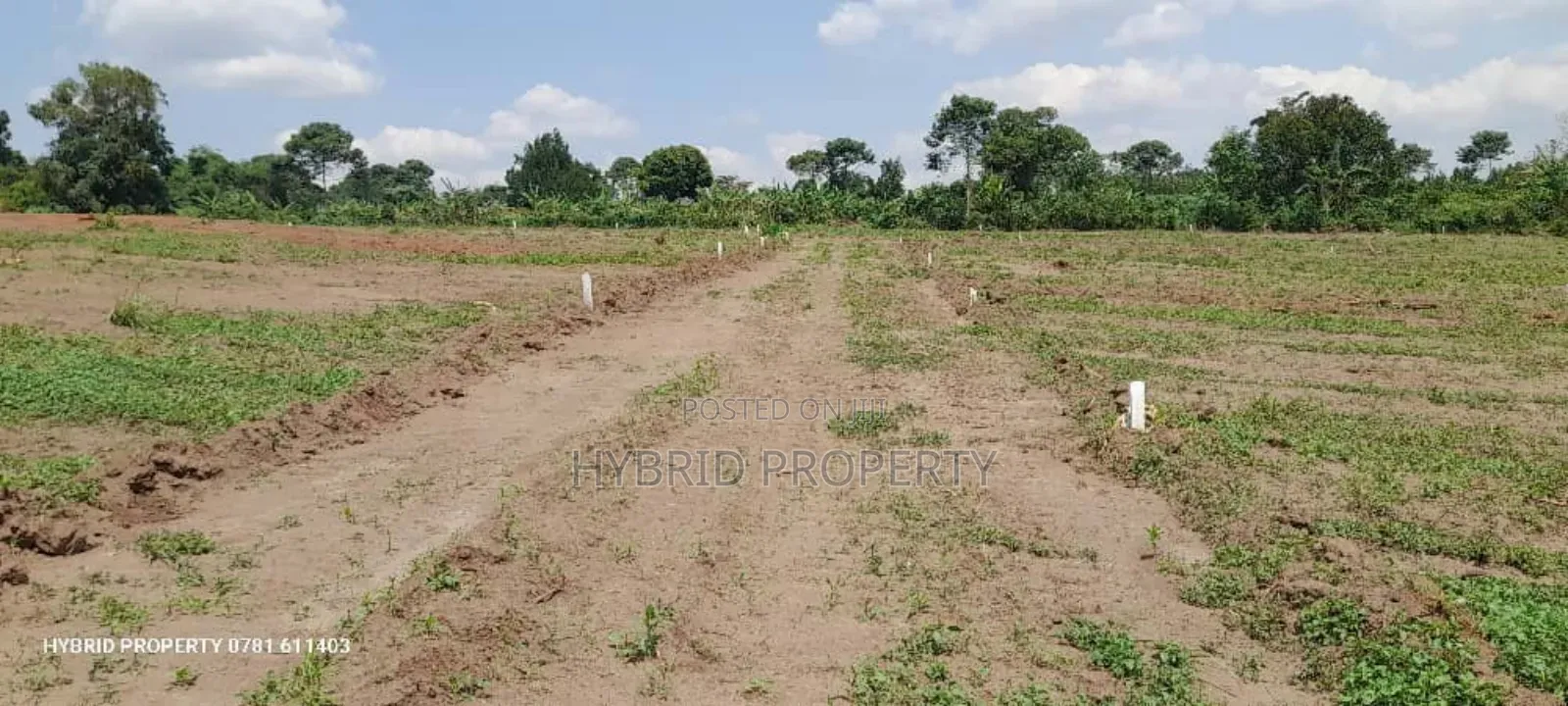 Prime Plots for Sale at Namayumba~Kyampisi Divine Estate V. in Namayumba