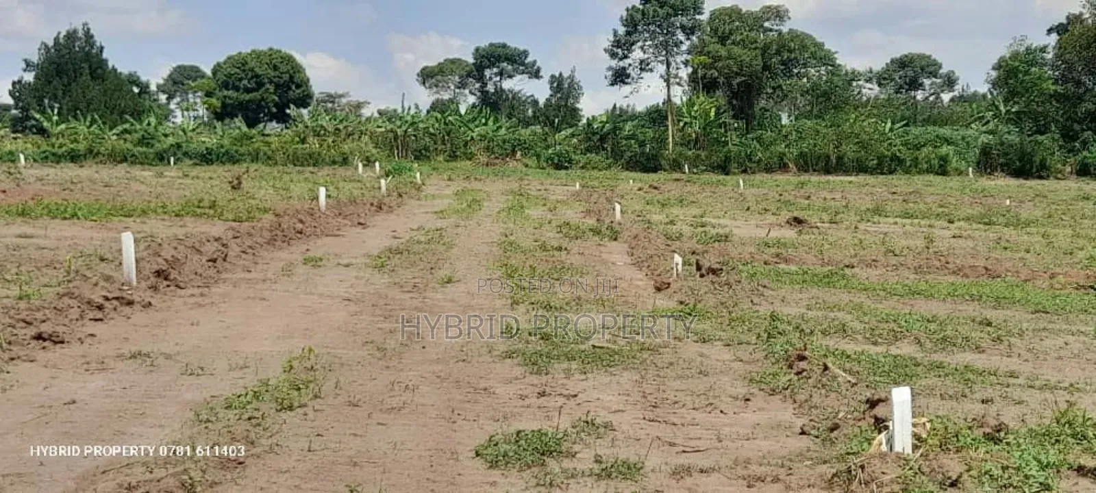Prime Plots for Sale at Namayumba~Kyampisi Divine Estate V. in Namayumba