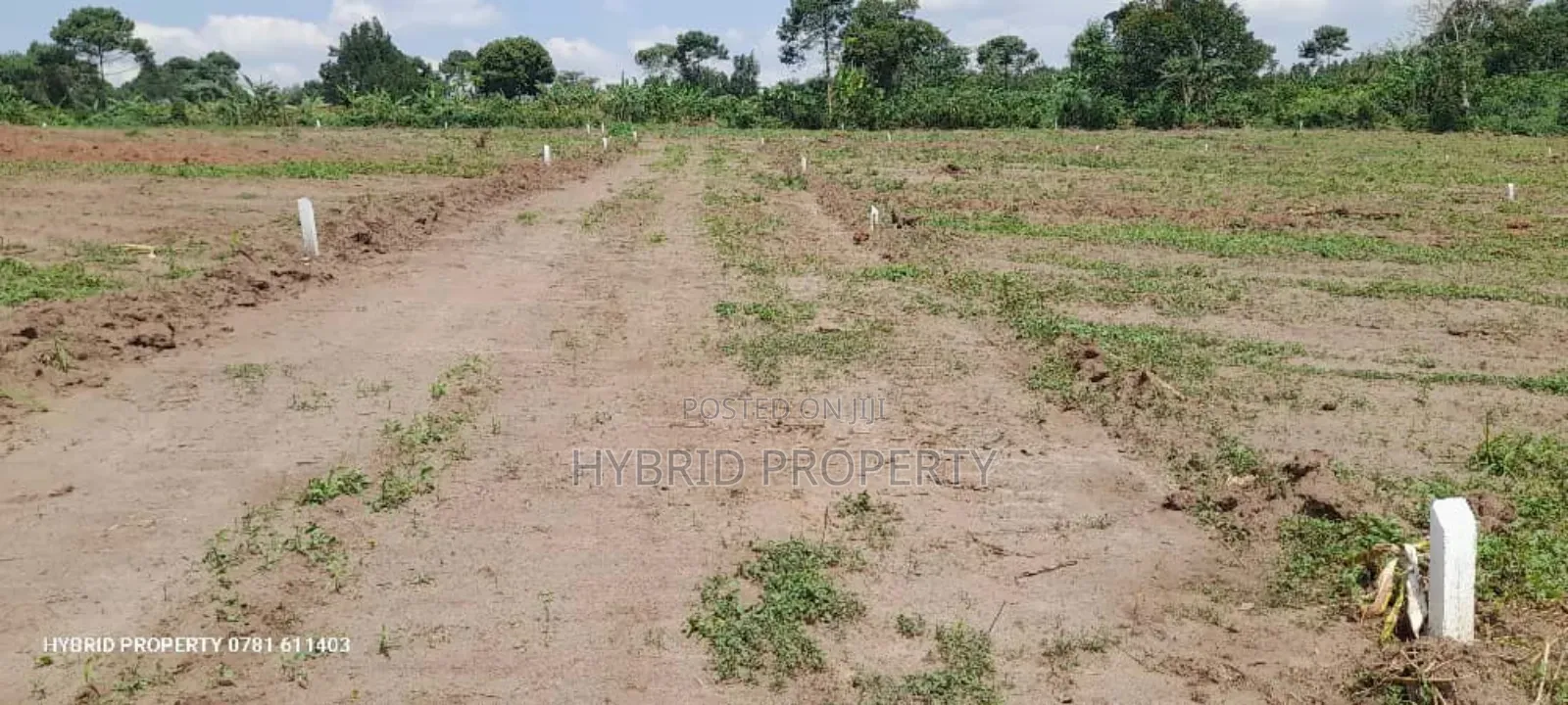 Prime Plots for Sale at Namayumba~Kyampisi Divine Estate V. in Namayumba