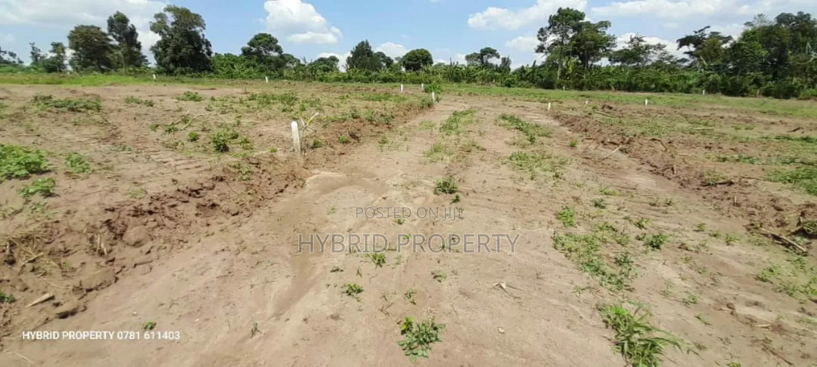 Prime Plots for Sale at Namayumba~Kyampisi Divine Estate V. in Namayumba