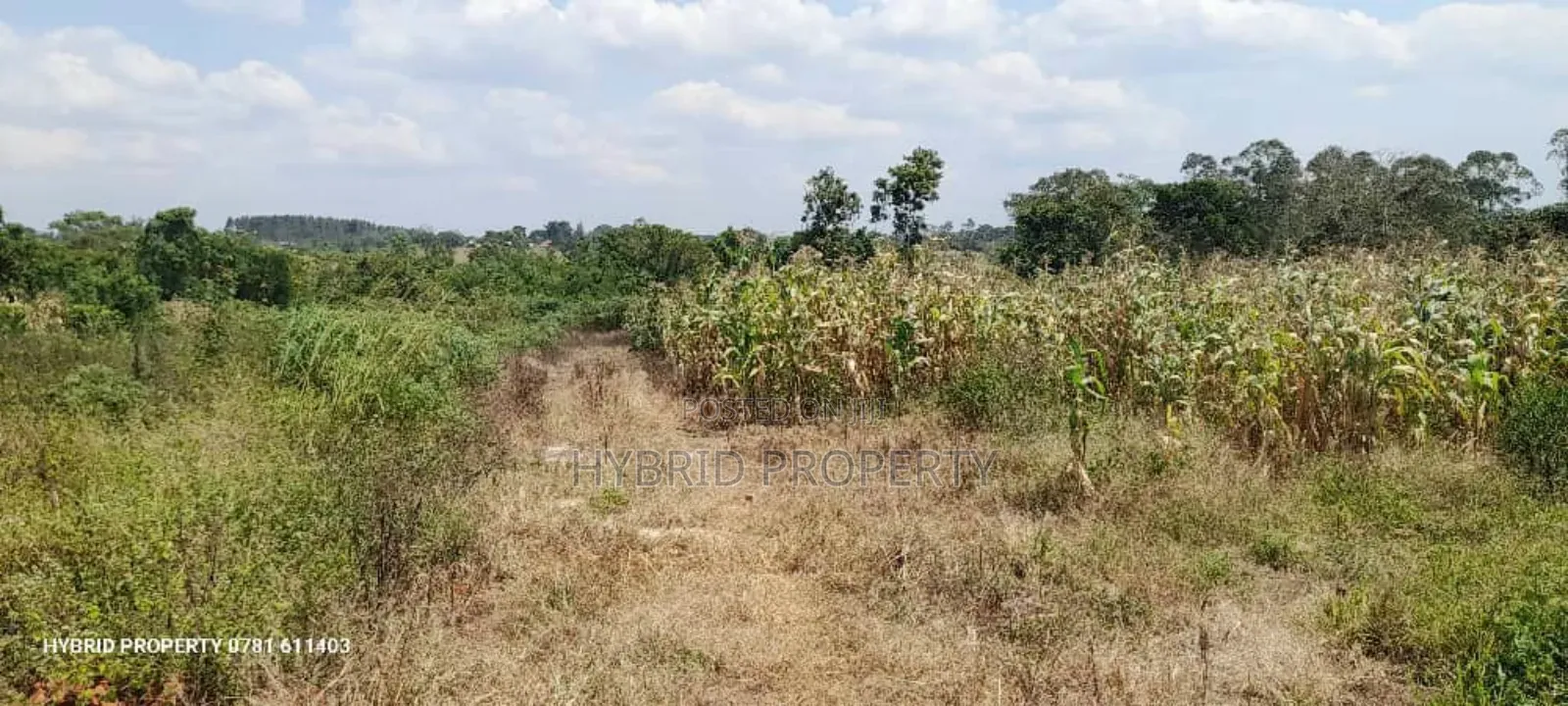 Prime Plots for Sale at Namayumba Luguzi Divine Land Estate. in Namayumba