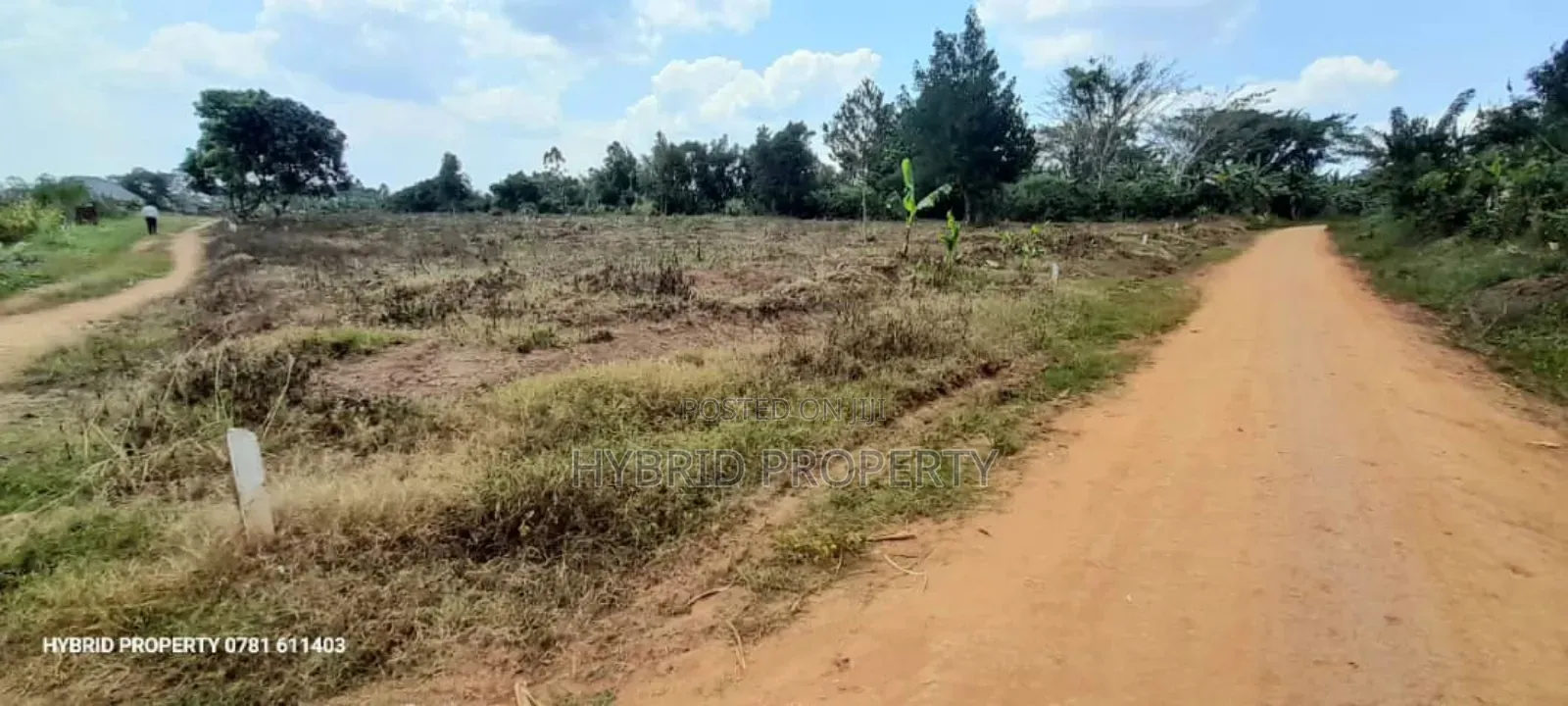 Prime Plots For Sale At Namayumba Town Divine Land Estate V. in Namayumba