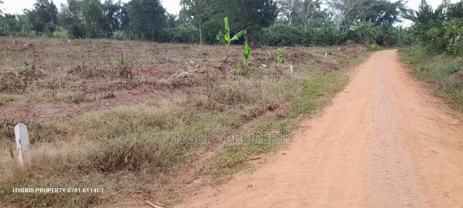 Prime Plots For Sale At Namayumba Town Divine Land Estate V. in Namayumba