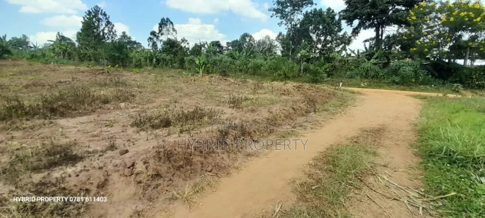 Prime Plots For Sale At Namayumba Town Divine Land Estate V. in Namayumba