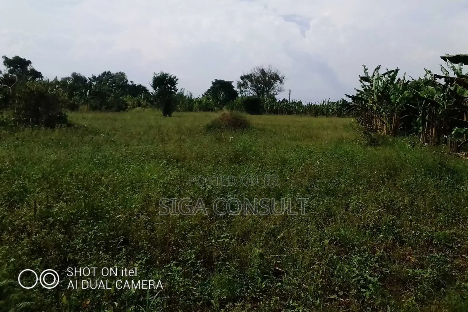 64 Acres of Land Available for Rent in Kitwe, Kayunga in Kayunga / Kayunga