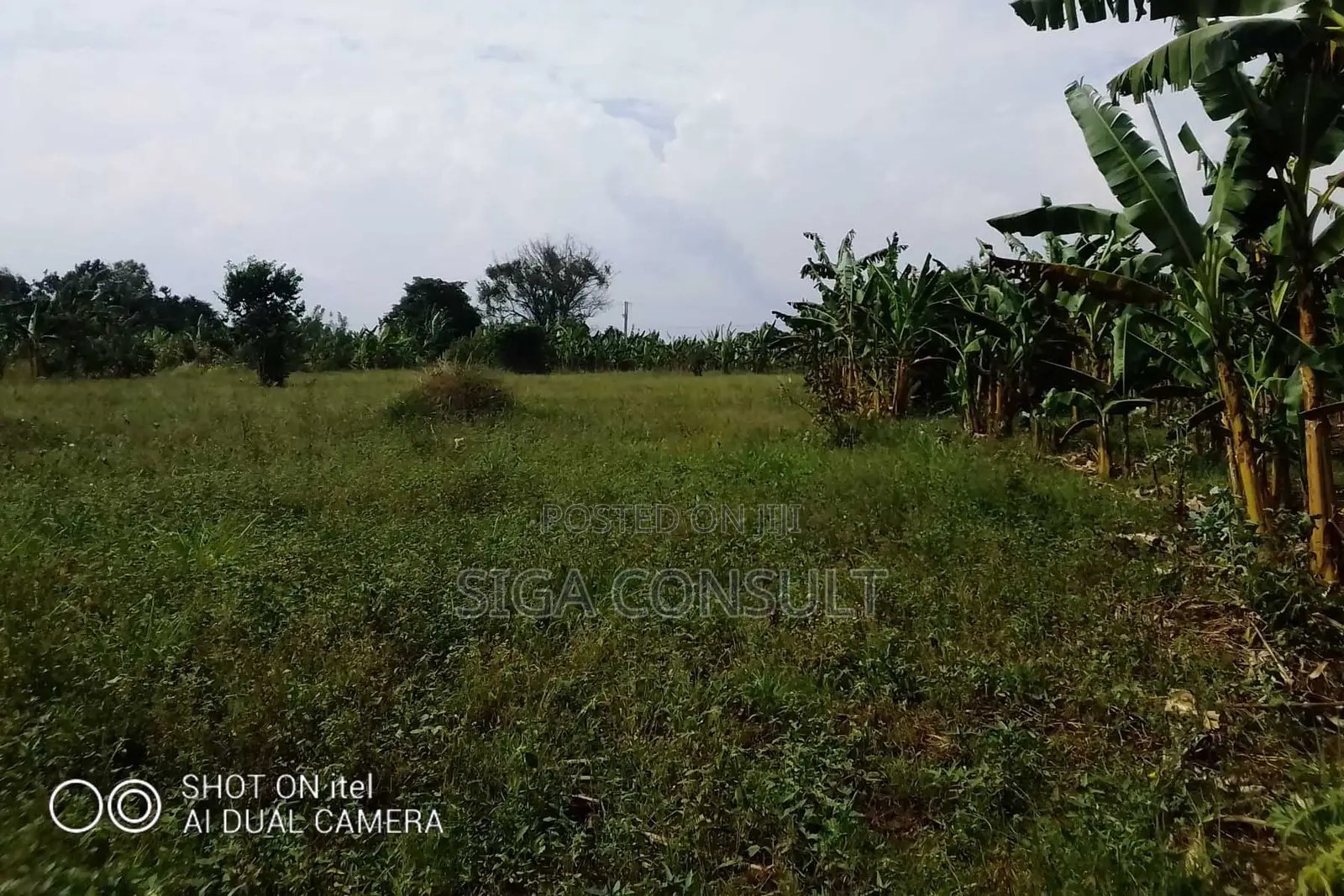 64 Acres of Land Available for Rent in Kitwe, Kayunga in Kayunga / Kayunga