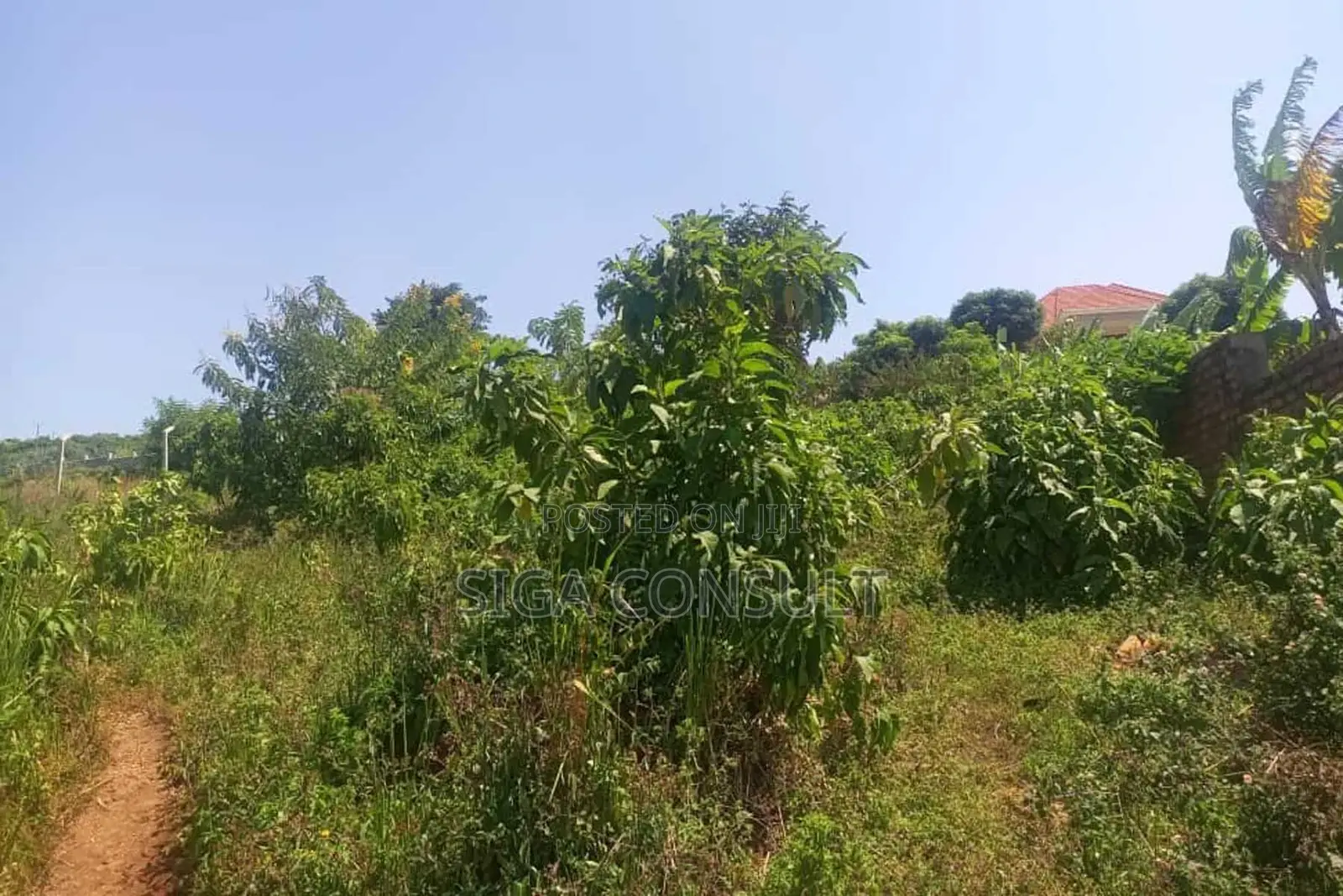 600 Acres of Farming Land Available for Rent in Bbaale, Kayunga in Bbaale