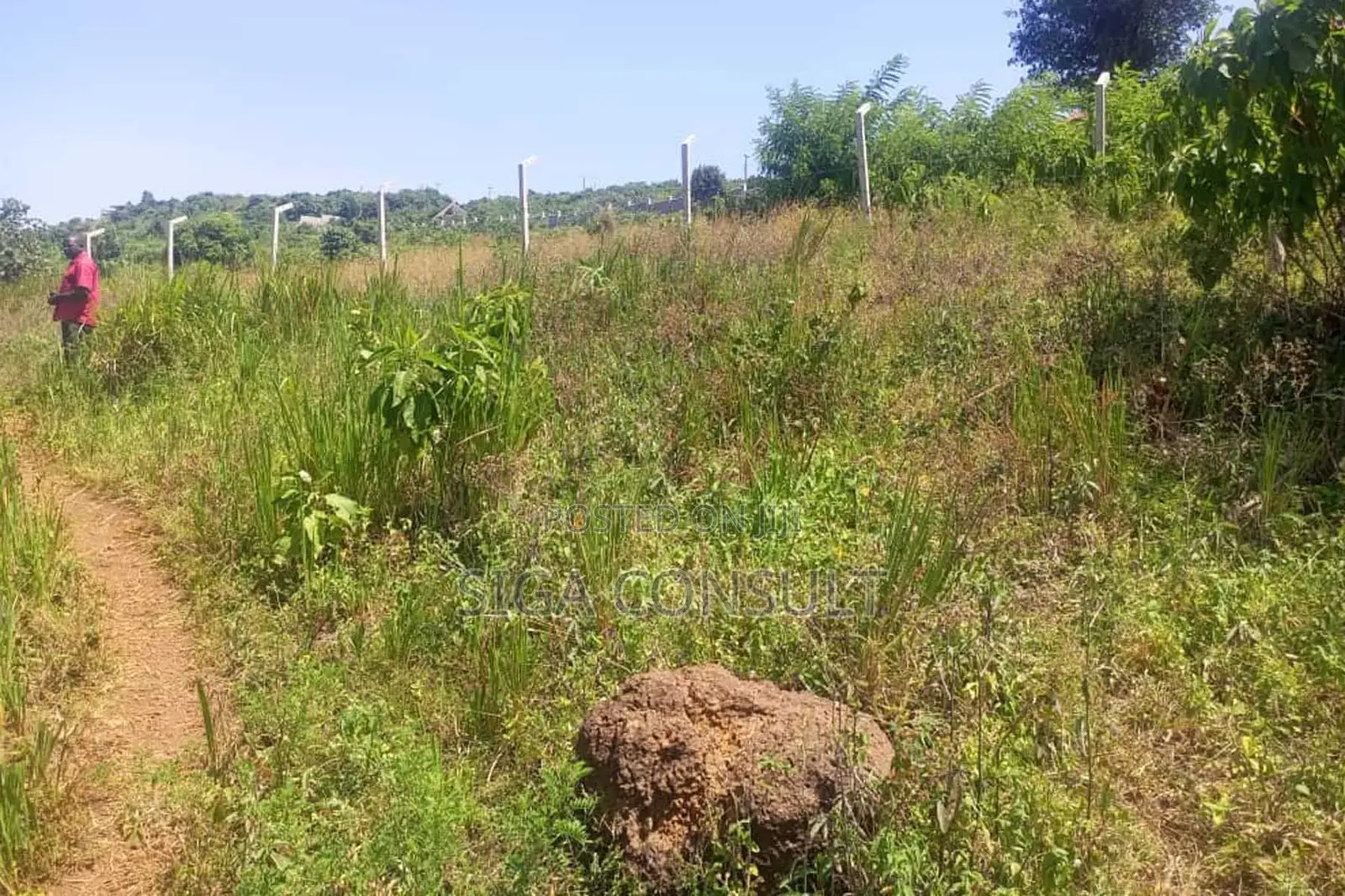 600 Acres of Farming Land Available for Rent in Bbaale, Kayunga in Bbaale