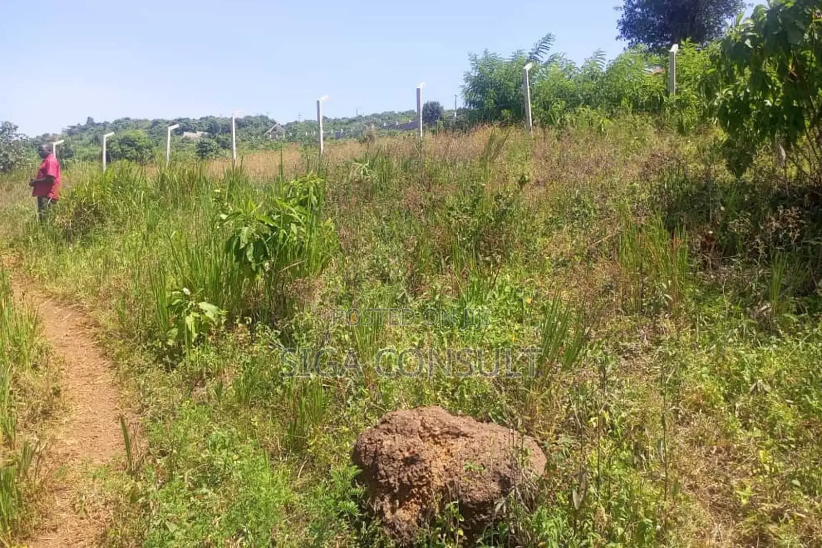 600 Acres of Farming Land Available for Rent in Bbaale, Kayunga in Bbaale