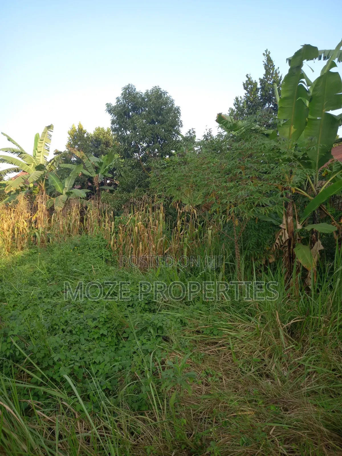 50x100 for Sale in Bweyogerere Kiwanga. in Central Division