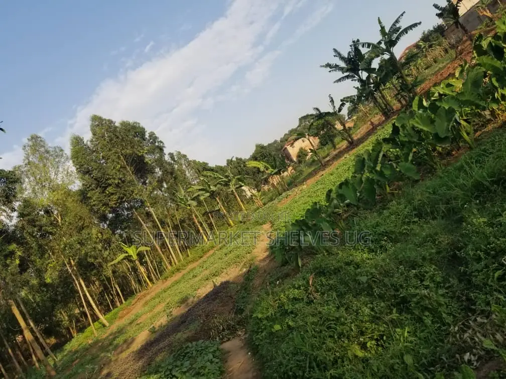 Commercial Land 5acrs on Sale in Bweyogerere Welspring 1.7m in Central Division