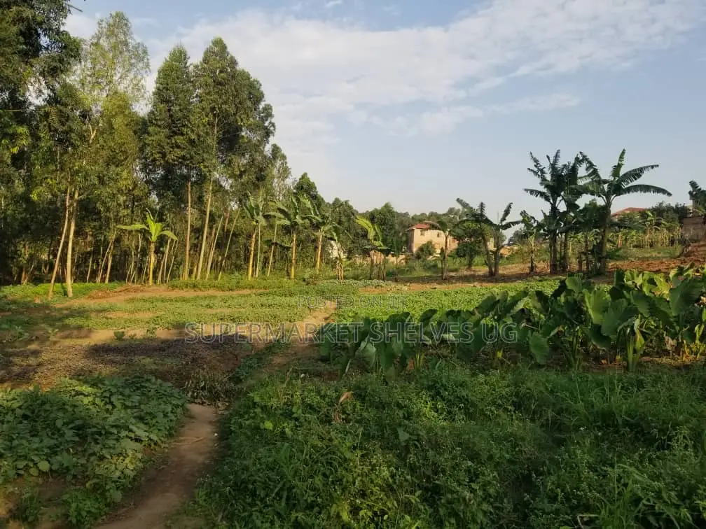 Commercial Land 5acrs on Sale in Bweyogerere Welspring 1.7m in Central Division