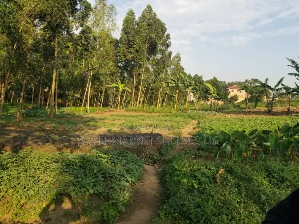 Commercial Land 5acrs on Sale in Bweyogerere Welspring 1.7m in Central Division