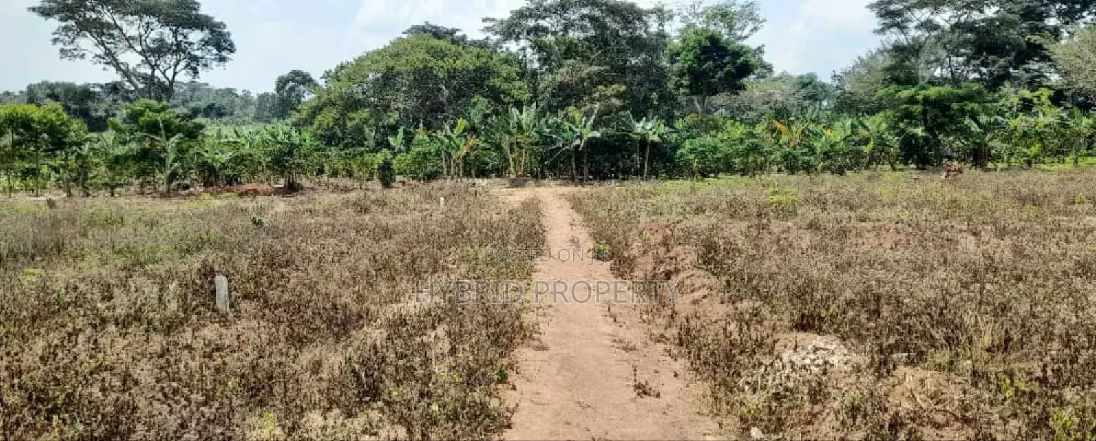 Prime Plots For Sale At Nampunge~Katiiti Divine Land Estate. in Kakiri