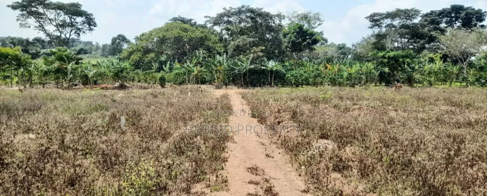 Prime Plots For Sale At Nampunge~Katiiti Divine Land Estate. in Kakiri