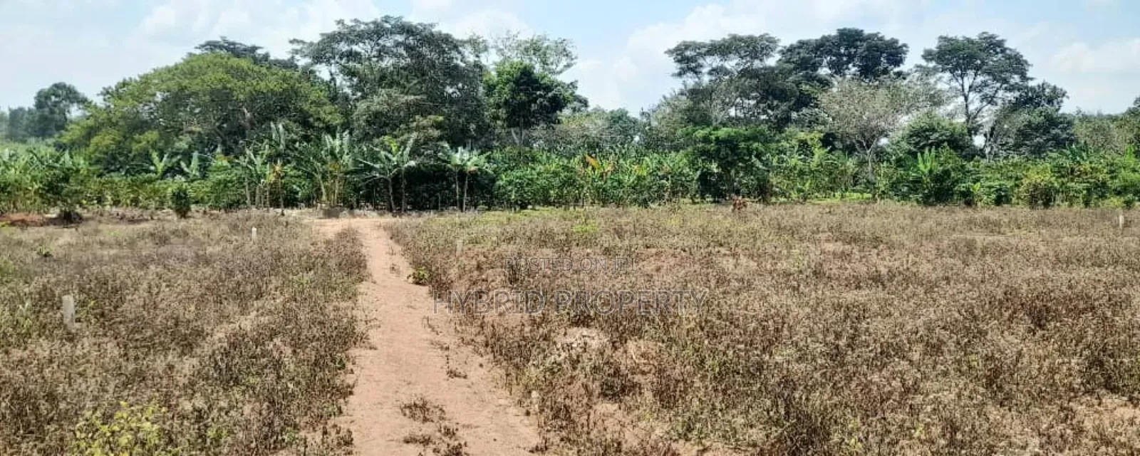 Prime Plots For Sale At Nampunge~Katiiti Divine Land Estate. in Kakiri