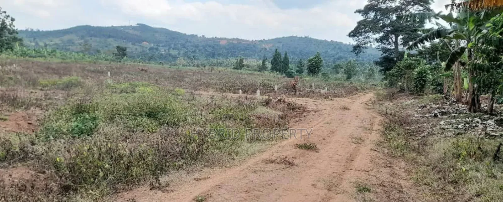 Prime Plots For Sale At Nampunge~Katiiti Divine Land Estate. in Kakiri