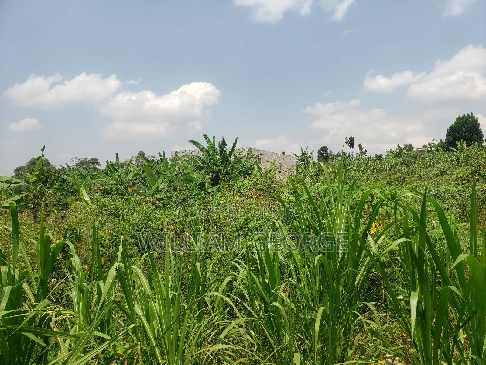 100x100 Land Buwambo, Lugo Estate in Busukuma
