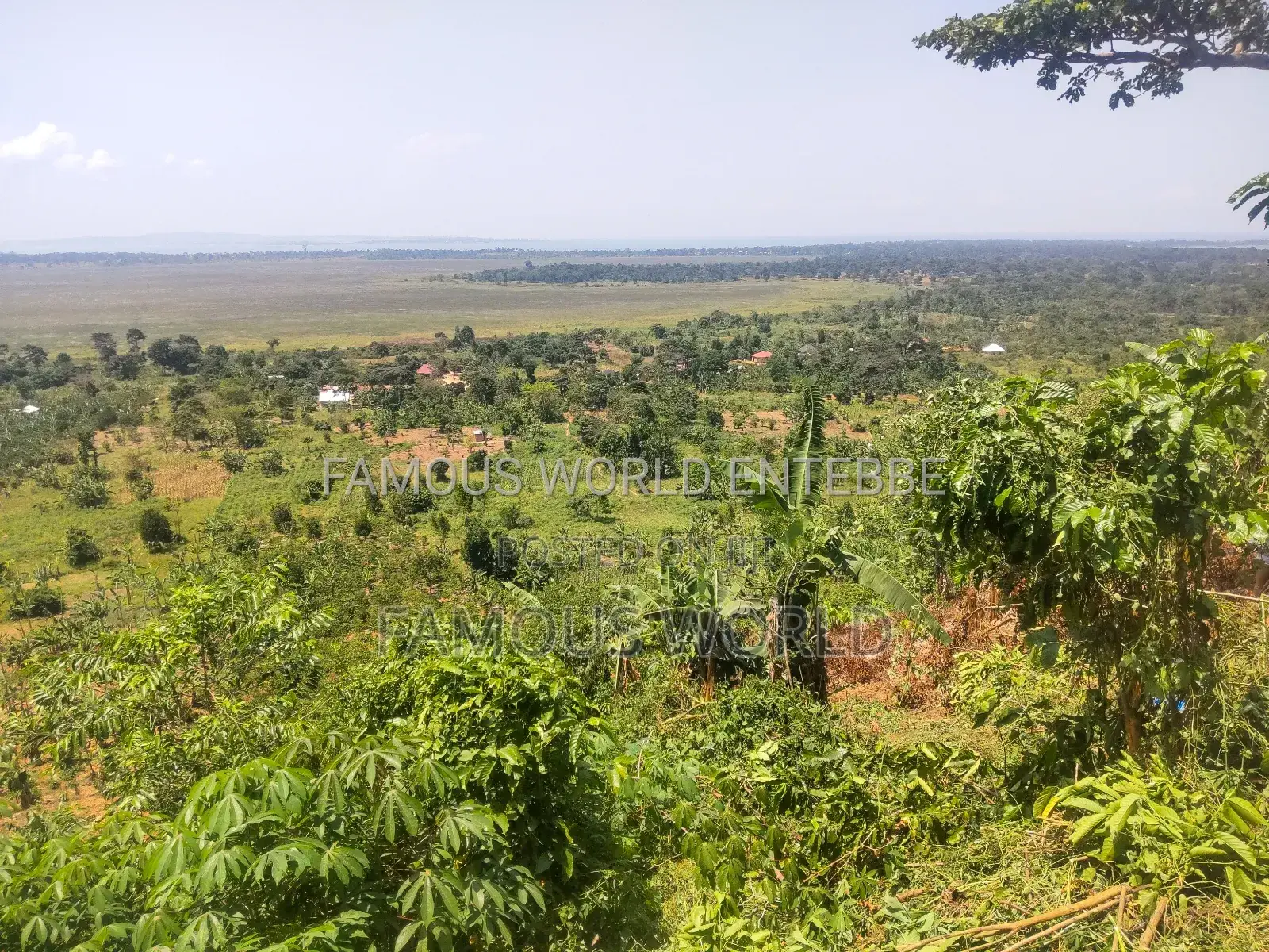 Bussi Island Land for Sale 30 Million Per Acre in Kasanje