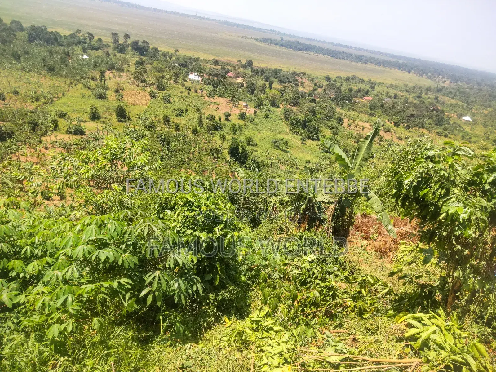 Bussi Island Land for Sale 30 Million Per Acre in Kasanje