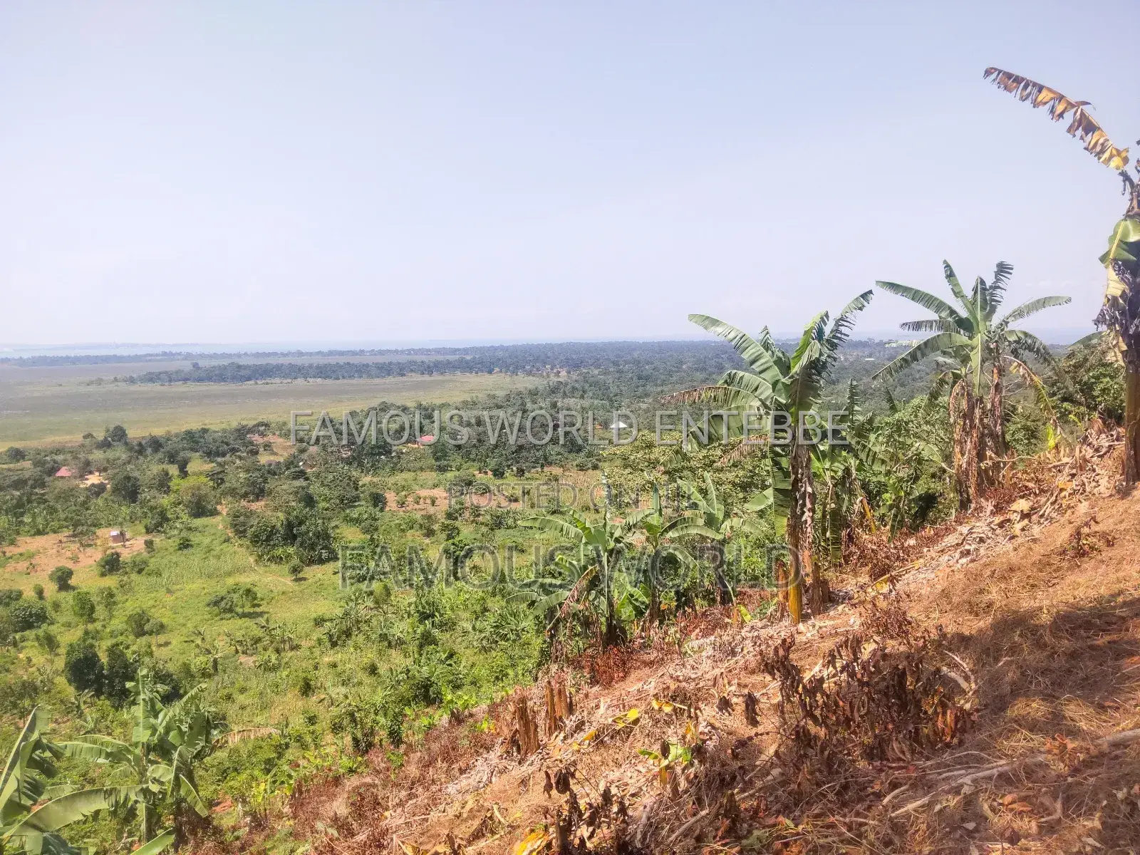 Bussi Island Land for Sale 30 Million Per Acre in Kasanje