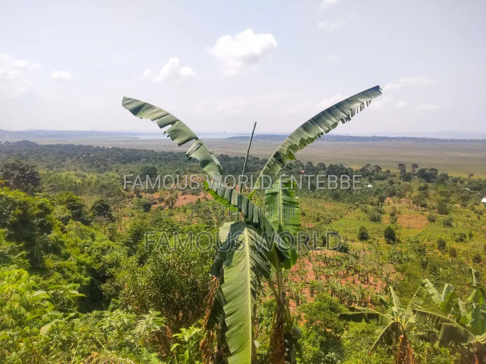 Bussi Island Land for Sale 30 Million Per Acre in Kasanje