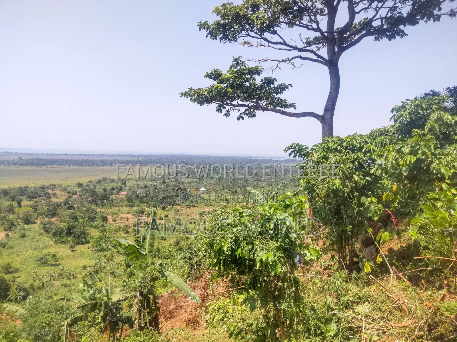 Bussi Island Land for Sale 30 Million Per Acre in Kasanje