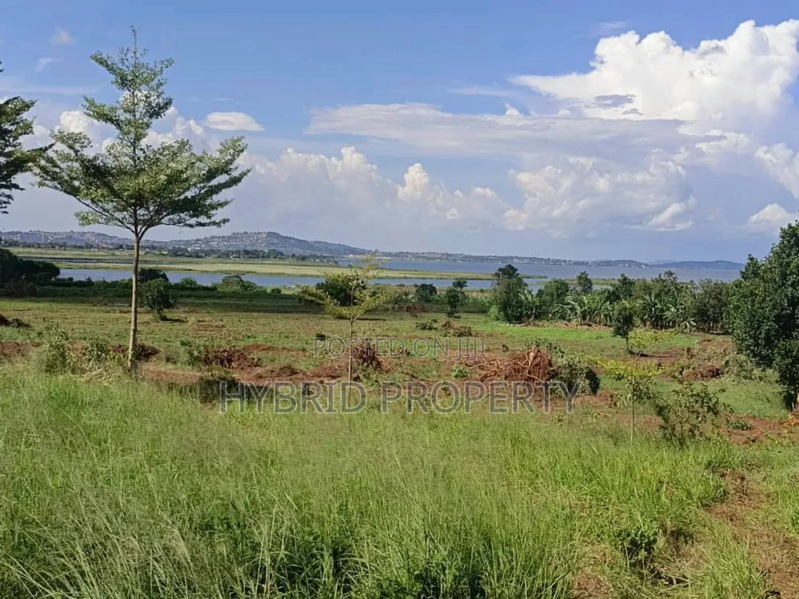 5acres Of Prime Land For Sale At Bwerenga~Kawuku Lake Touch. in Katabi