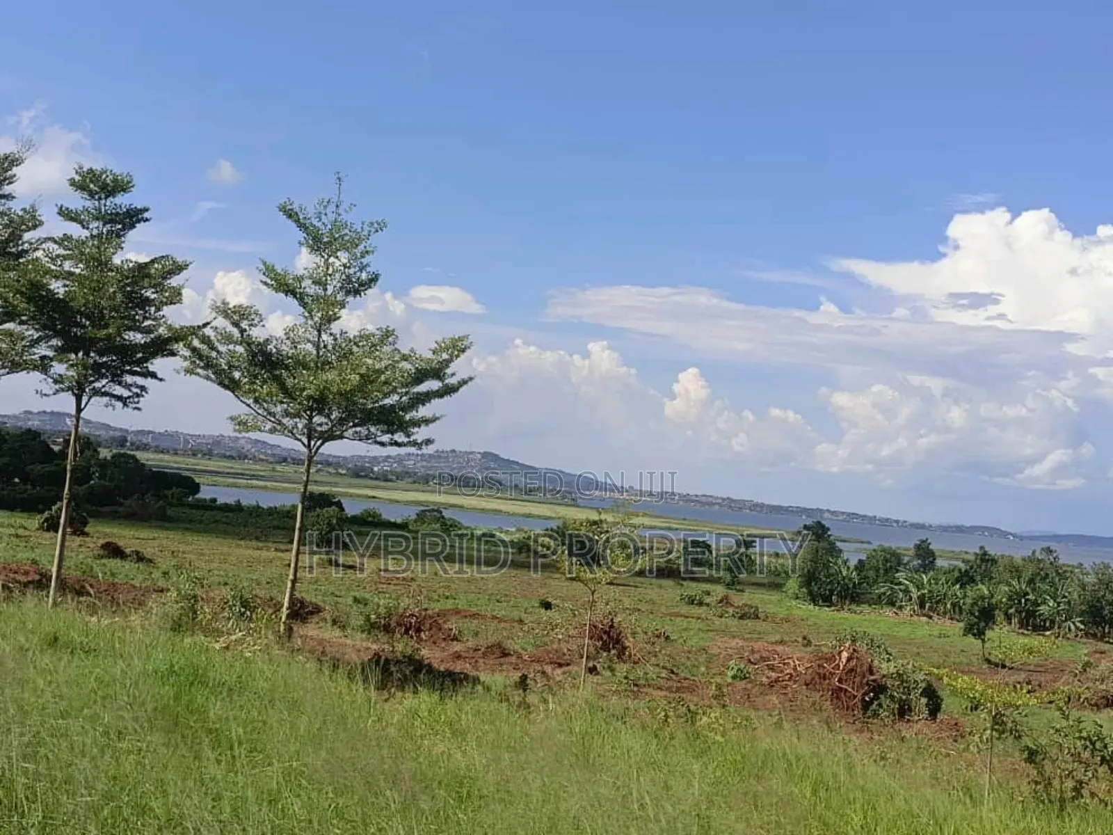 5acres Of Prime Land For Sale At Bwerenga~Kawuku Lake Touch. in Katabi