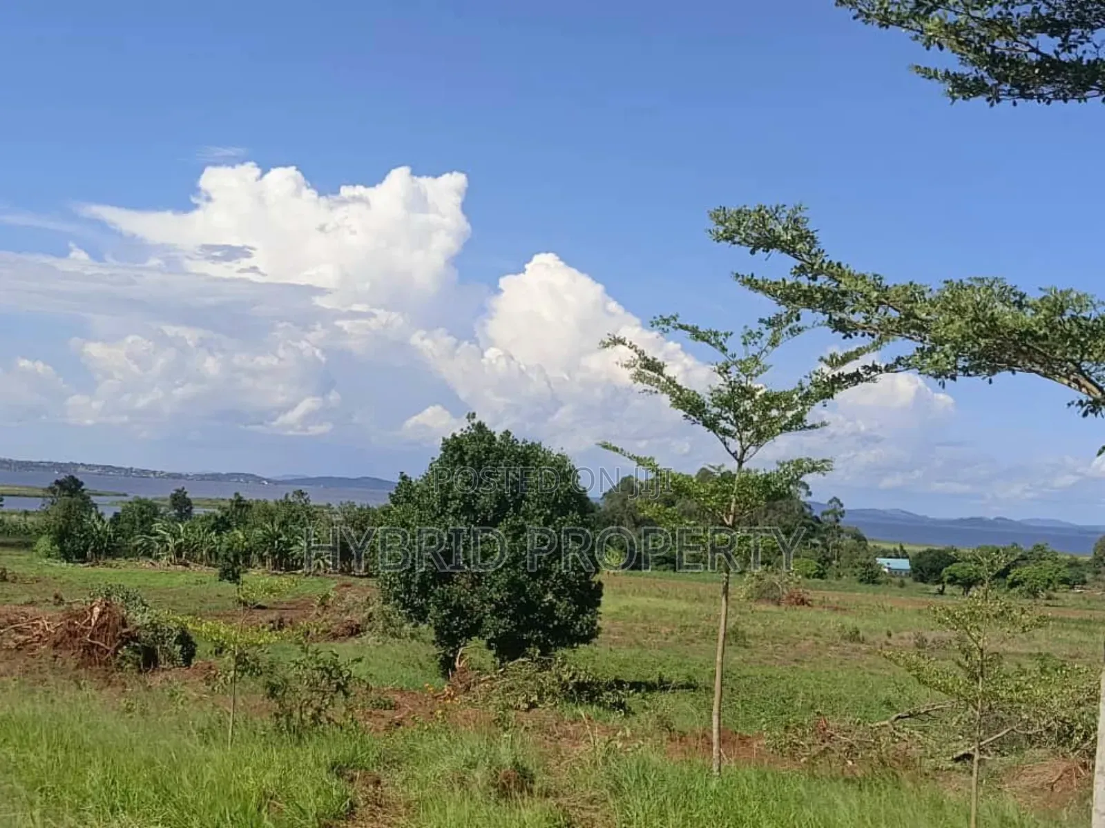 5acres Of Prime Land For Sale At Bwerenga~Kawuku Lake Touch. in Katabi