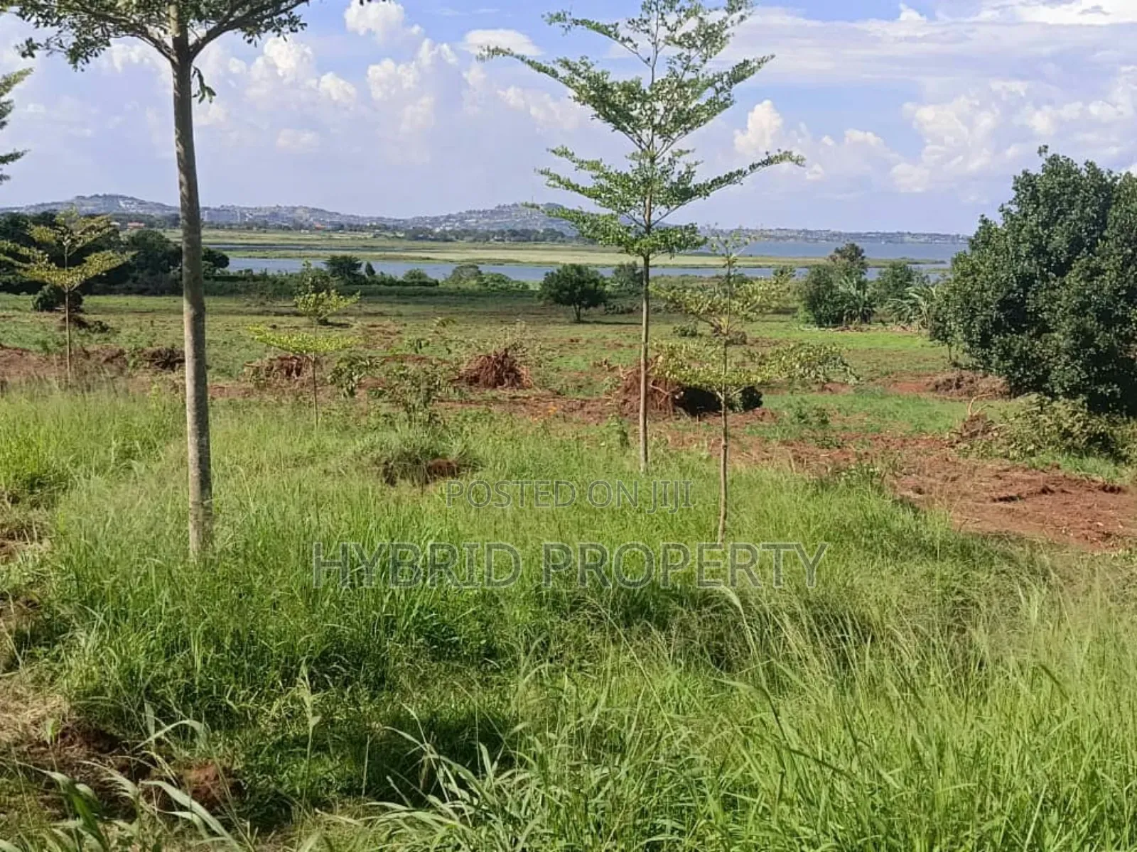 5acres Of Prime Land For Sale At Bwerenga~Kawuku Lake Touch. in Katabi