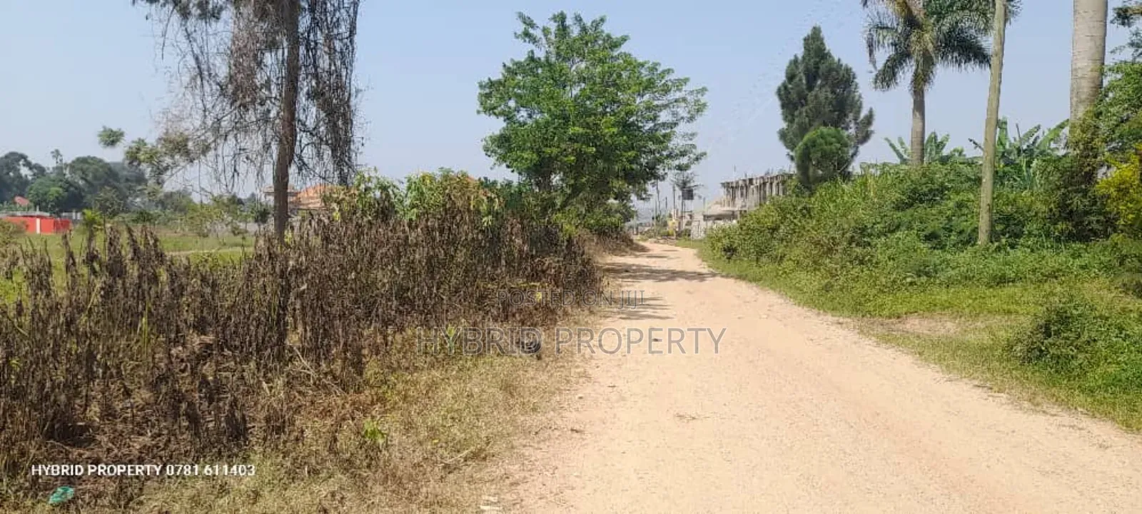 100acres of Prime Land for Sale at Bweya~Kajjansi Lakeview. in Ssisa