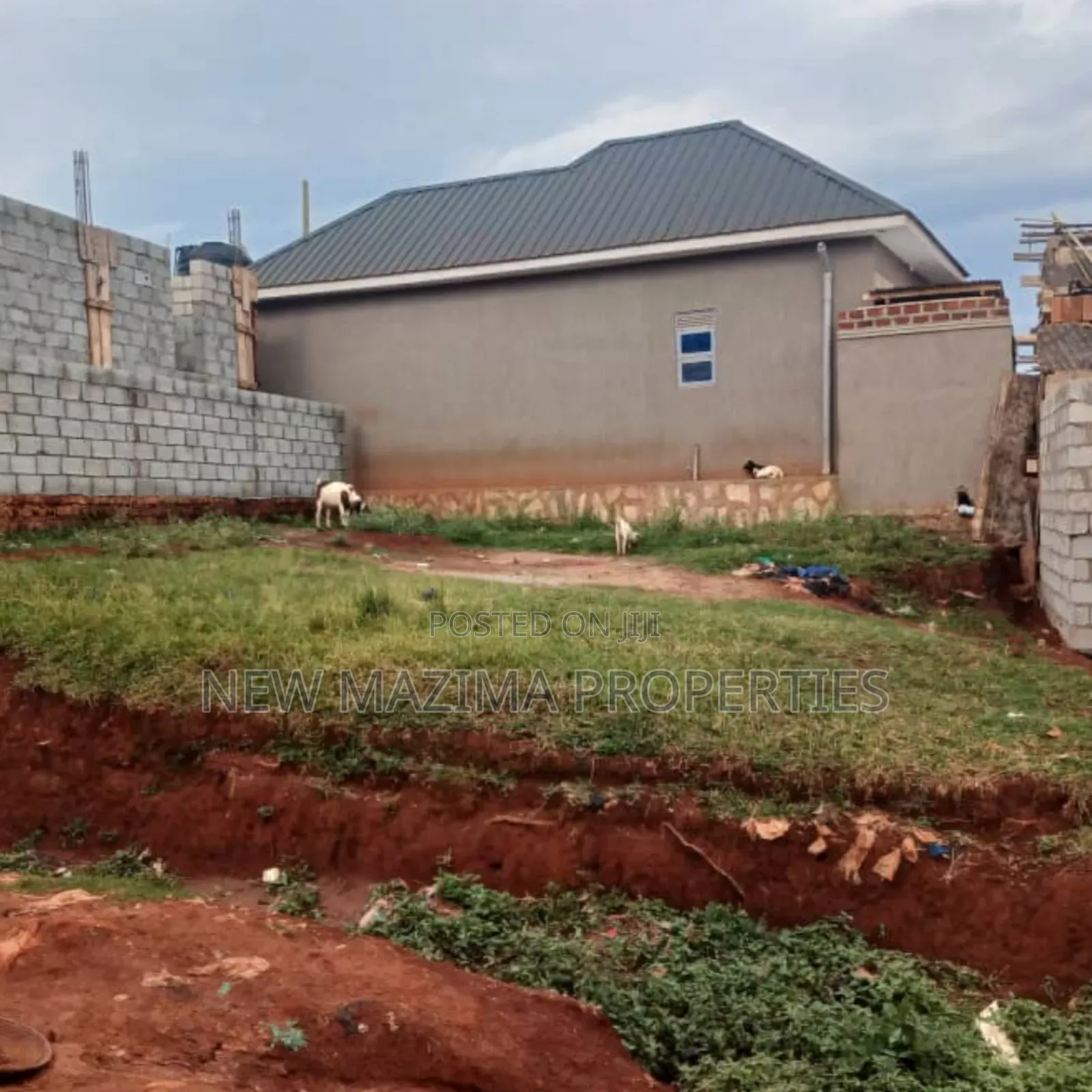 Arleady Fenced Beautiful Plot on Quicksale Salaama Munyonyo in Central Division