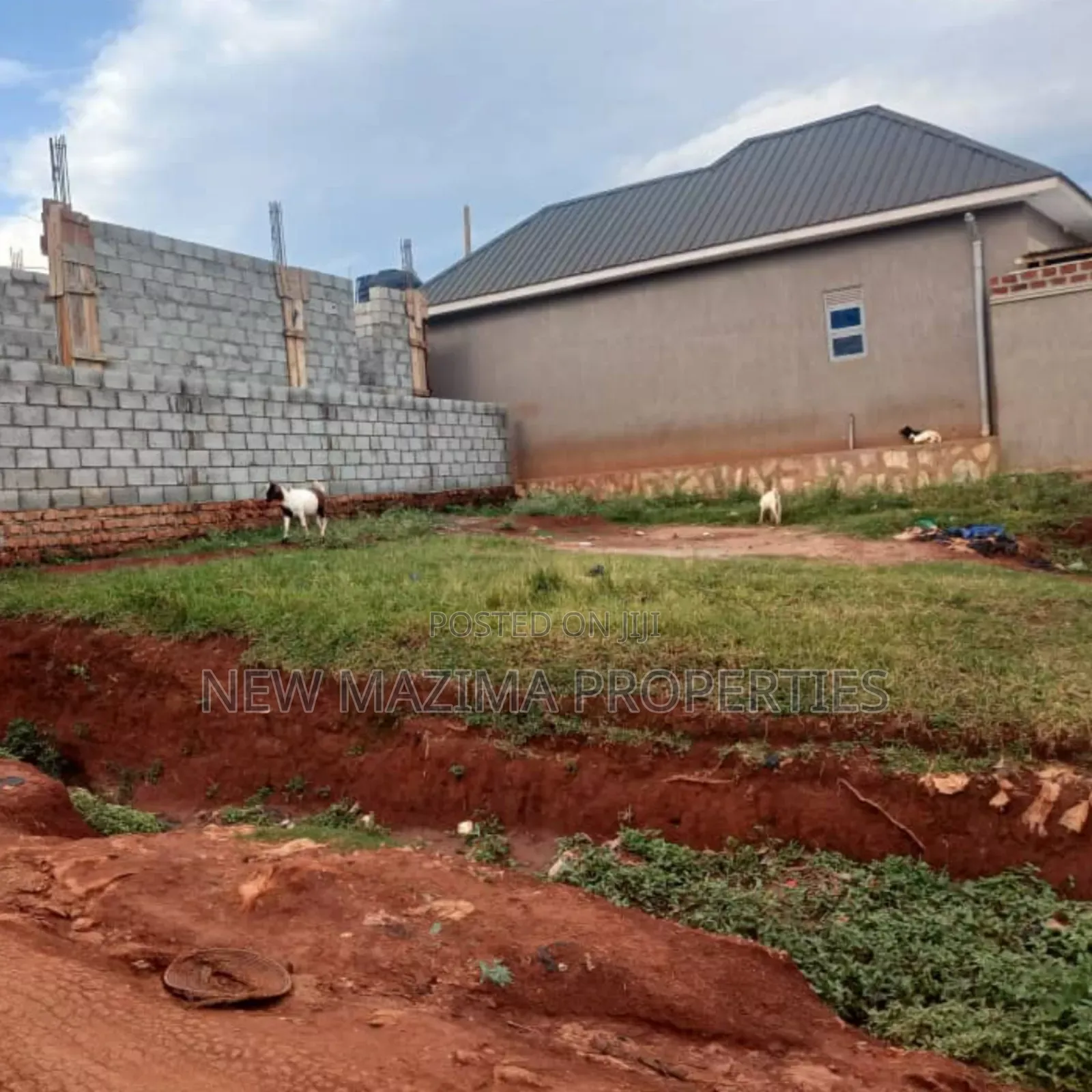 Arleady Fenced Beautiful Plot on Quicksale Salaama Munyonyo in Central Division