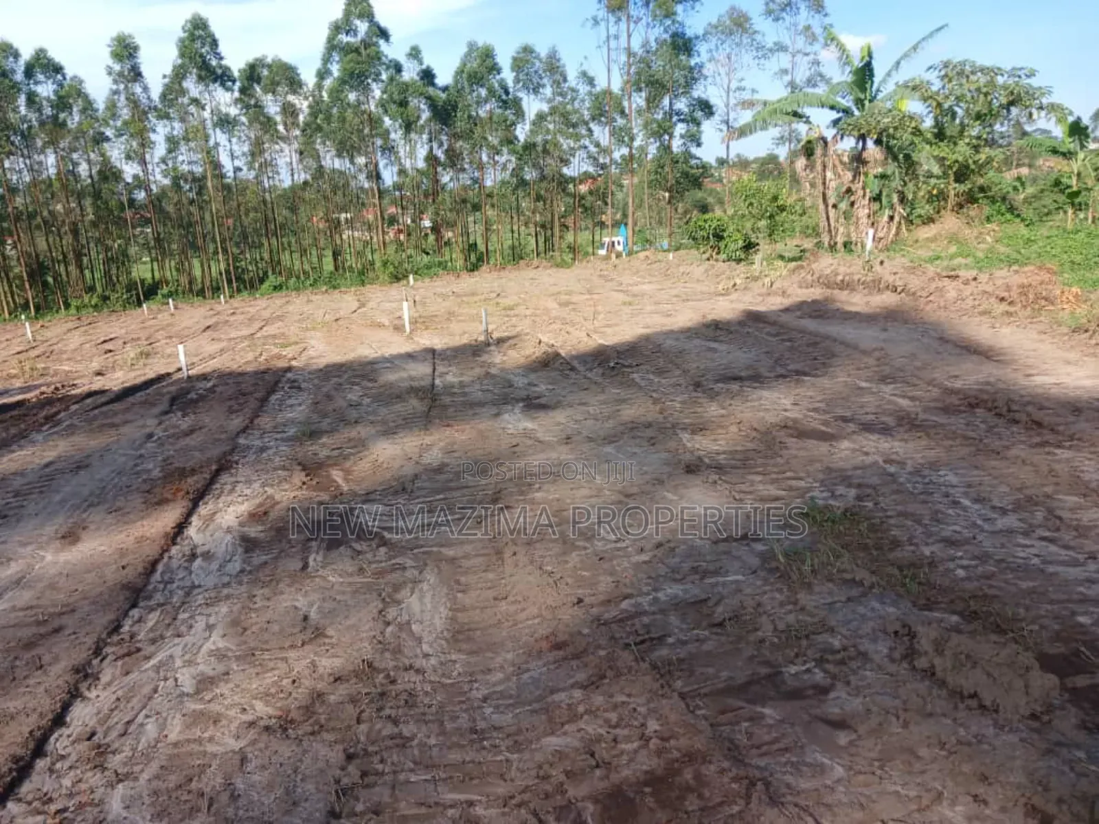 Beautiful Plots Gd Prices Quicksale Heart of Kyengera Nsangi in Central Division