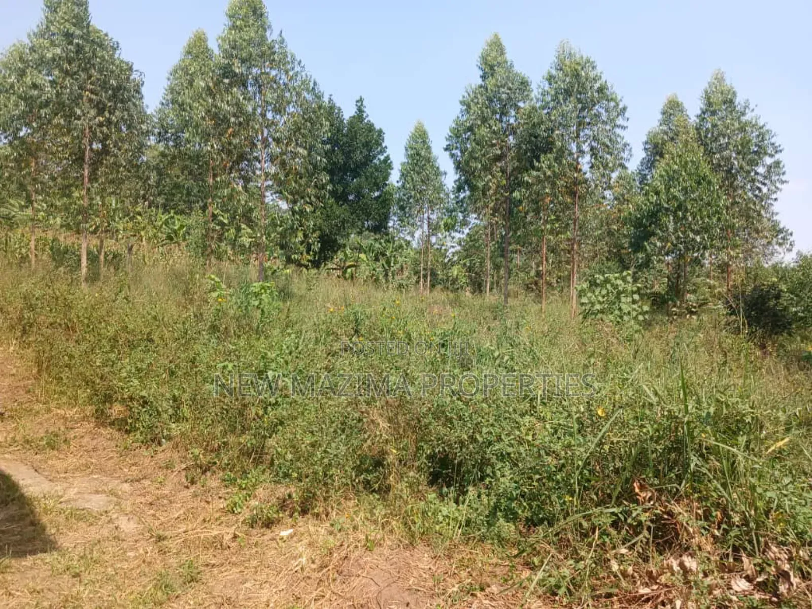 Two Acres With Private Mile Land Title on Quicksale Bujjuko in Central Division