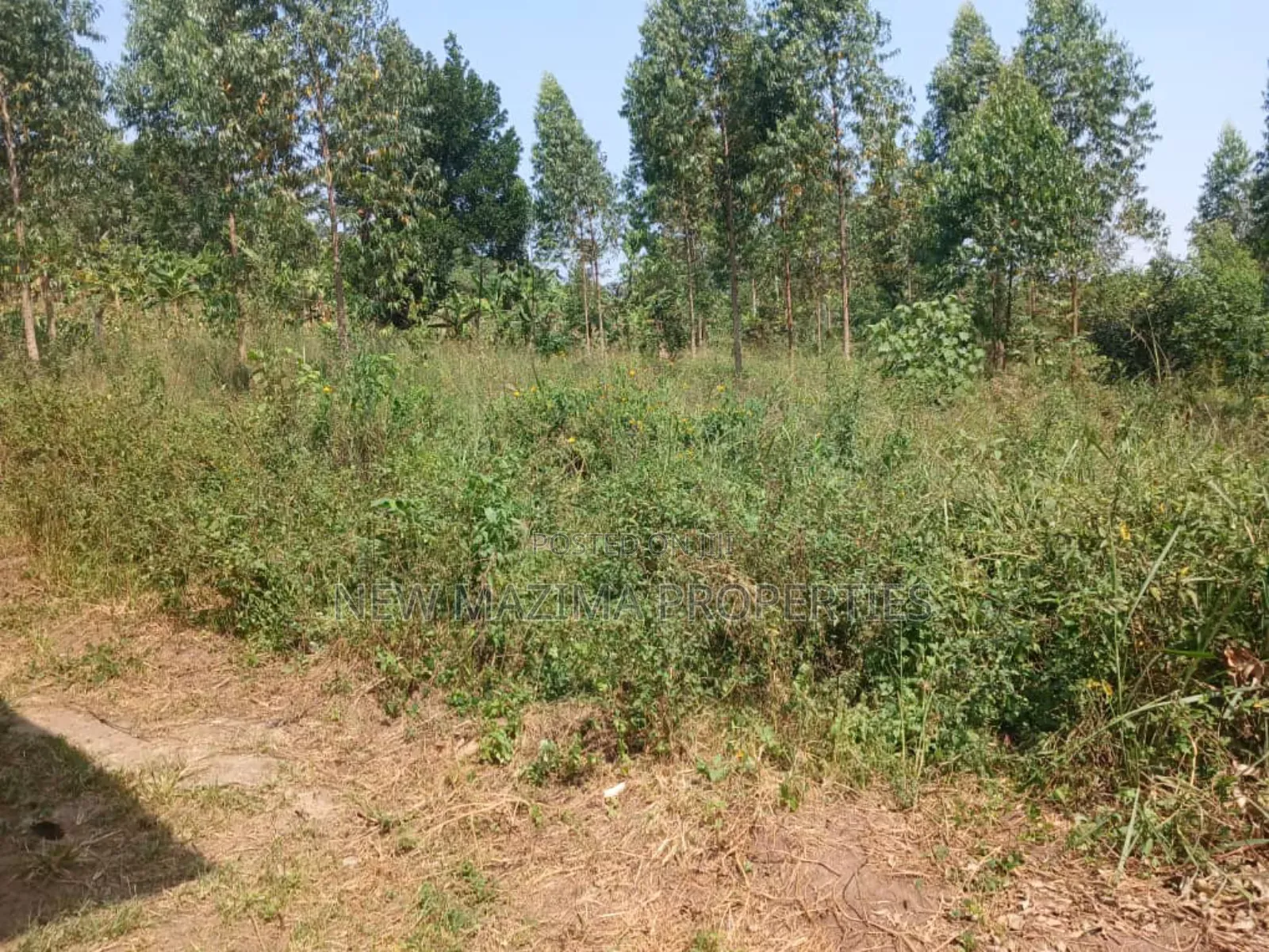 Two Acres With Private Mile Land Title on Quicksale Bujjuko in Central Division