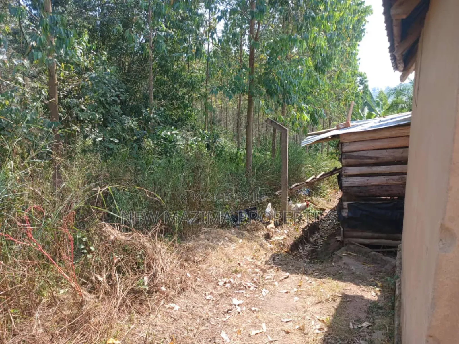 Two Acres With Private Mile Land Title on Quicksale Bujjuko in Central Division