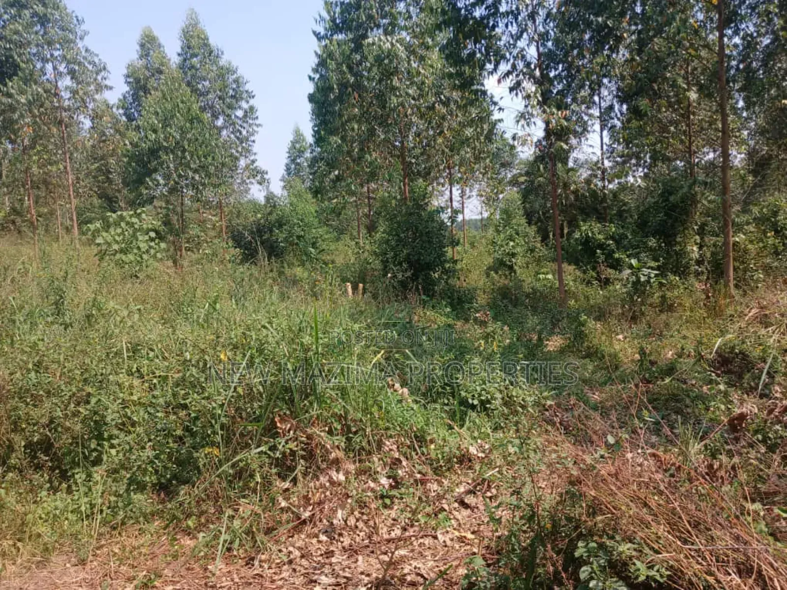 Two Acres With Private Mile Land Title on Quicksale Bujjuko in Central Division