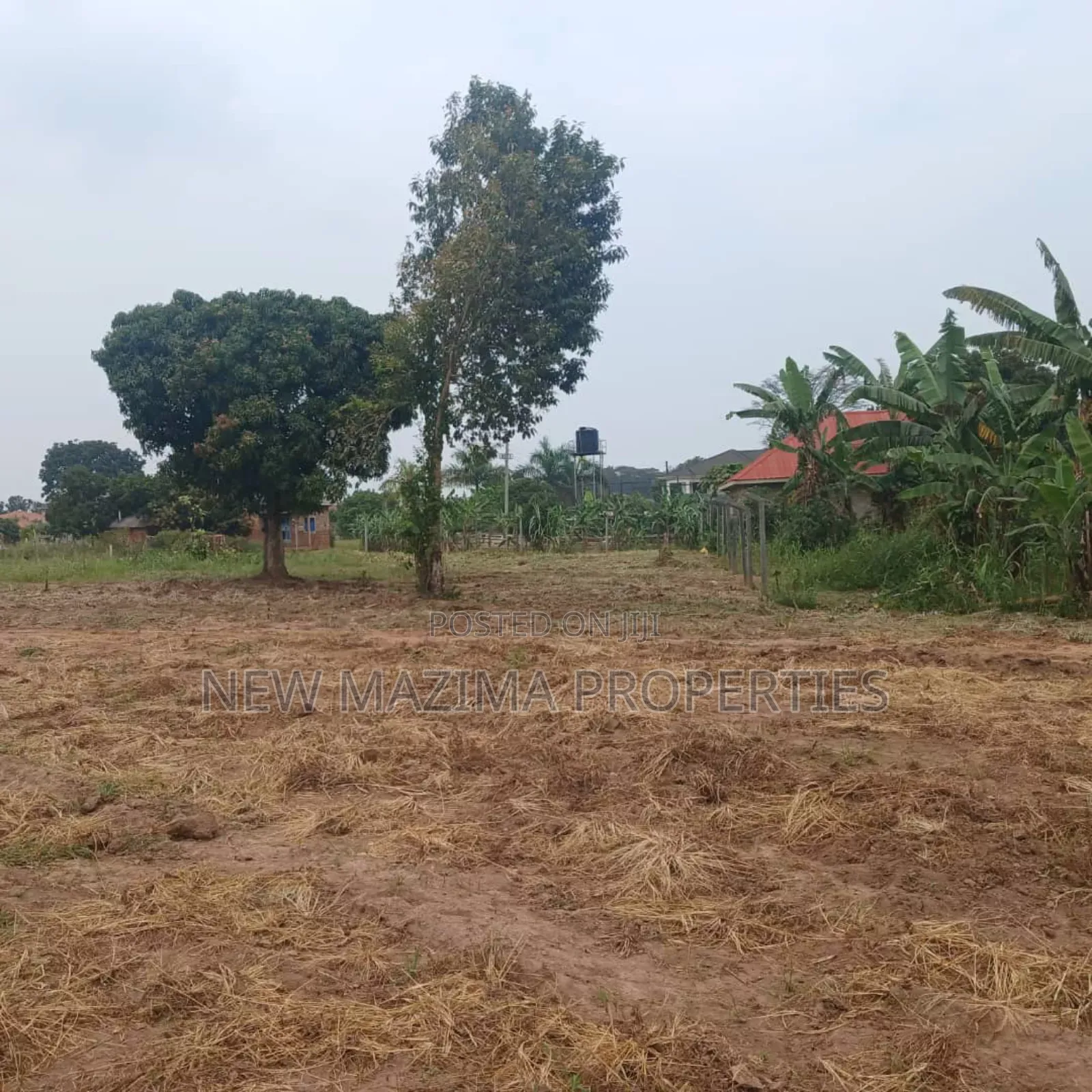Private Mile Titled Plots on Quicksale Heart of Kigo Heights in Central Division
