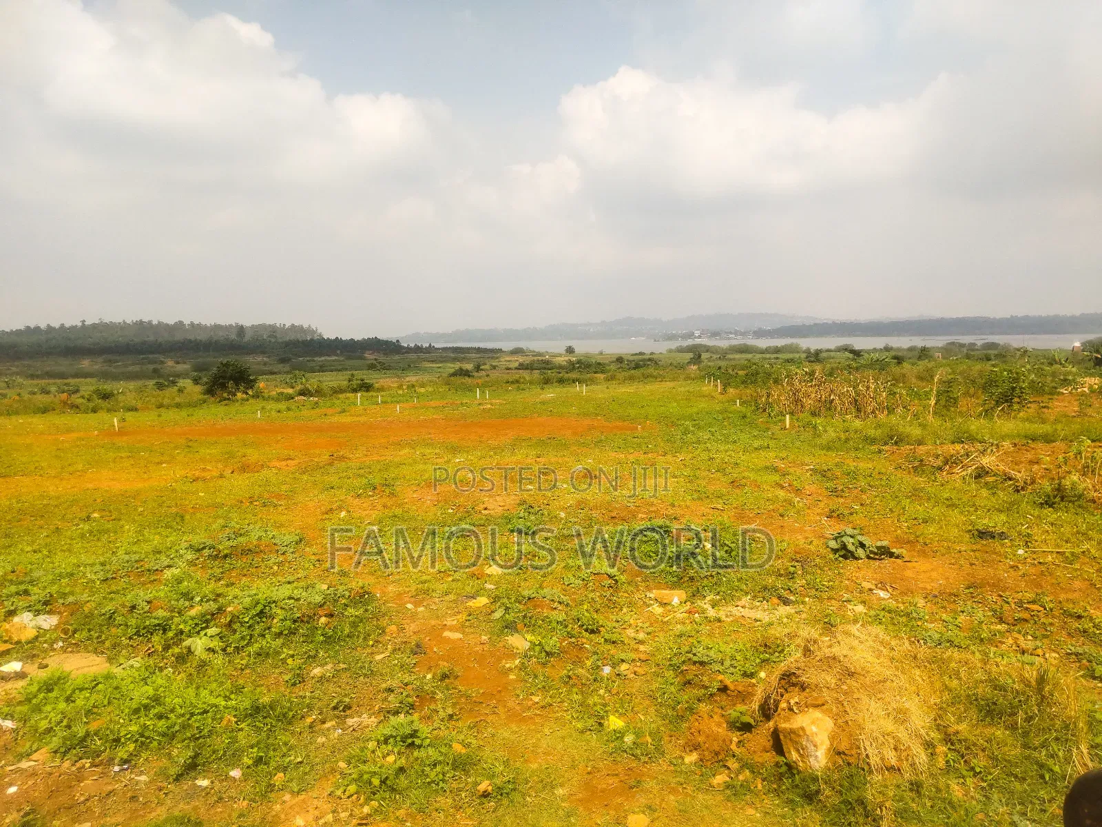 Nkumba Central Entebbe Lake View Plots on Sale in Katabi