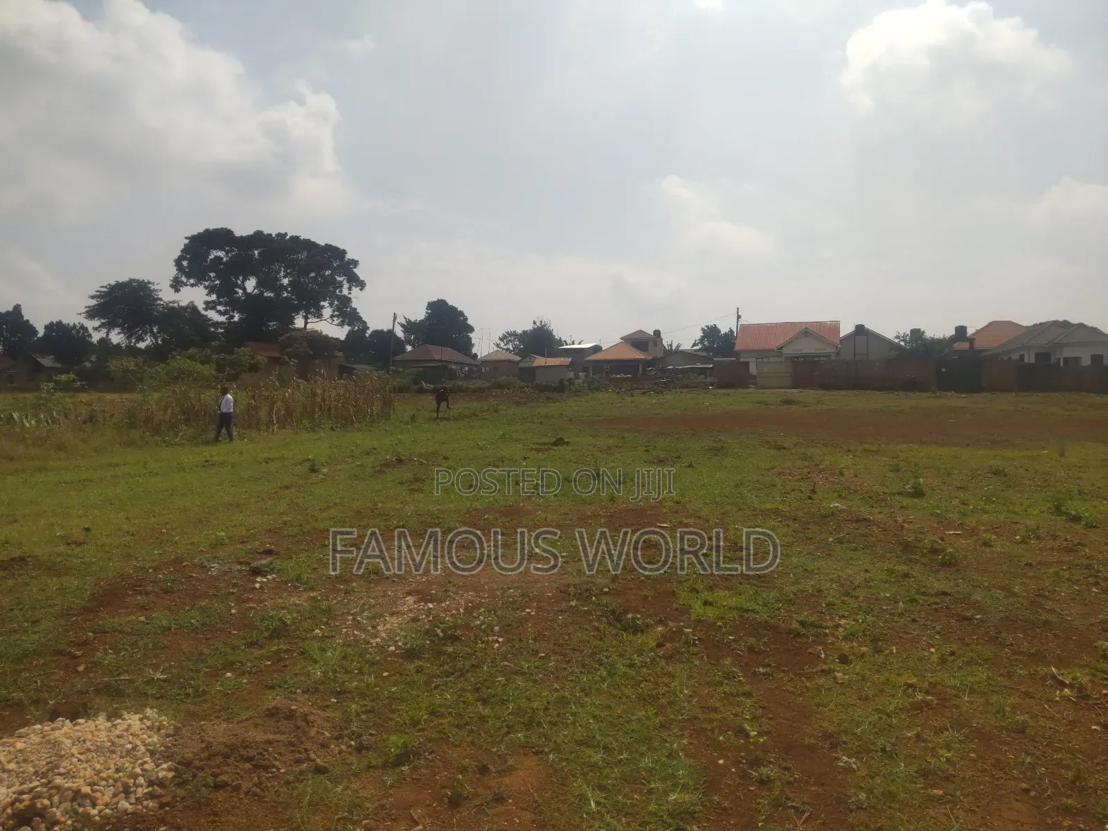 Nkumba Central Entebbe Lake View Plots on Sale in Katabi