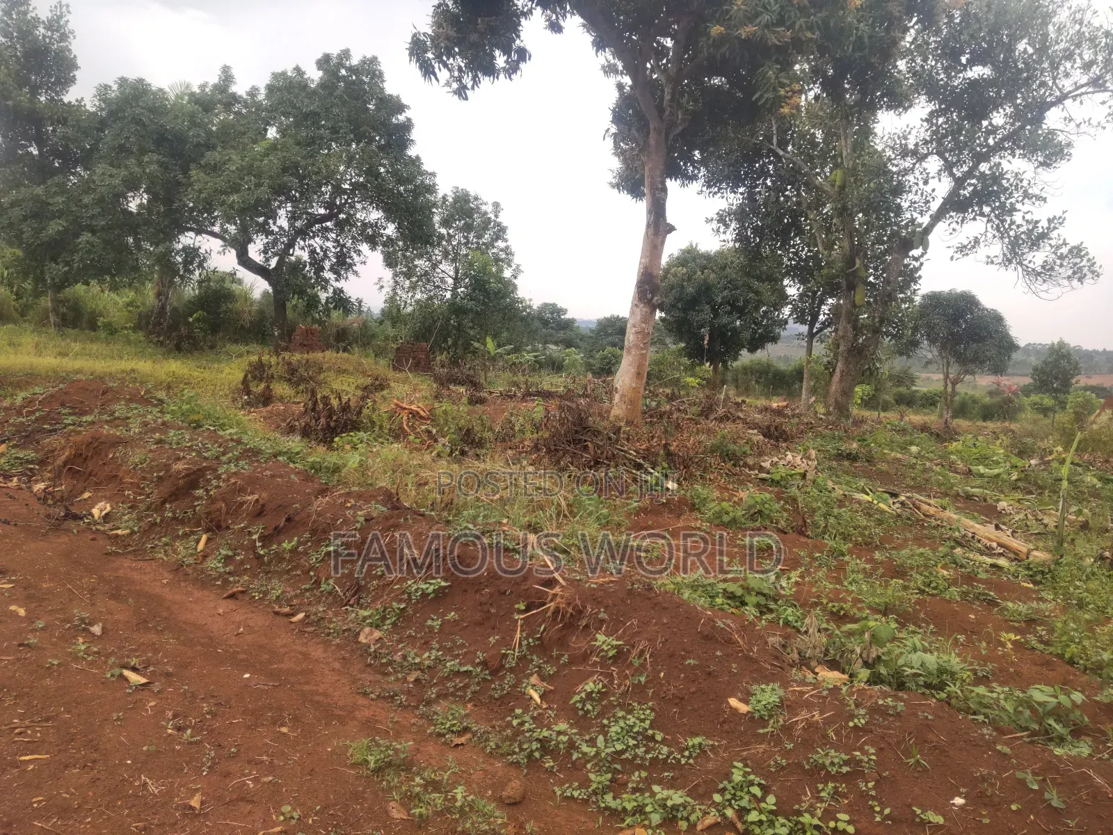 Plot on Sale in Buyegge Kasanje in Kasanje