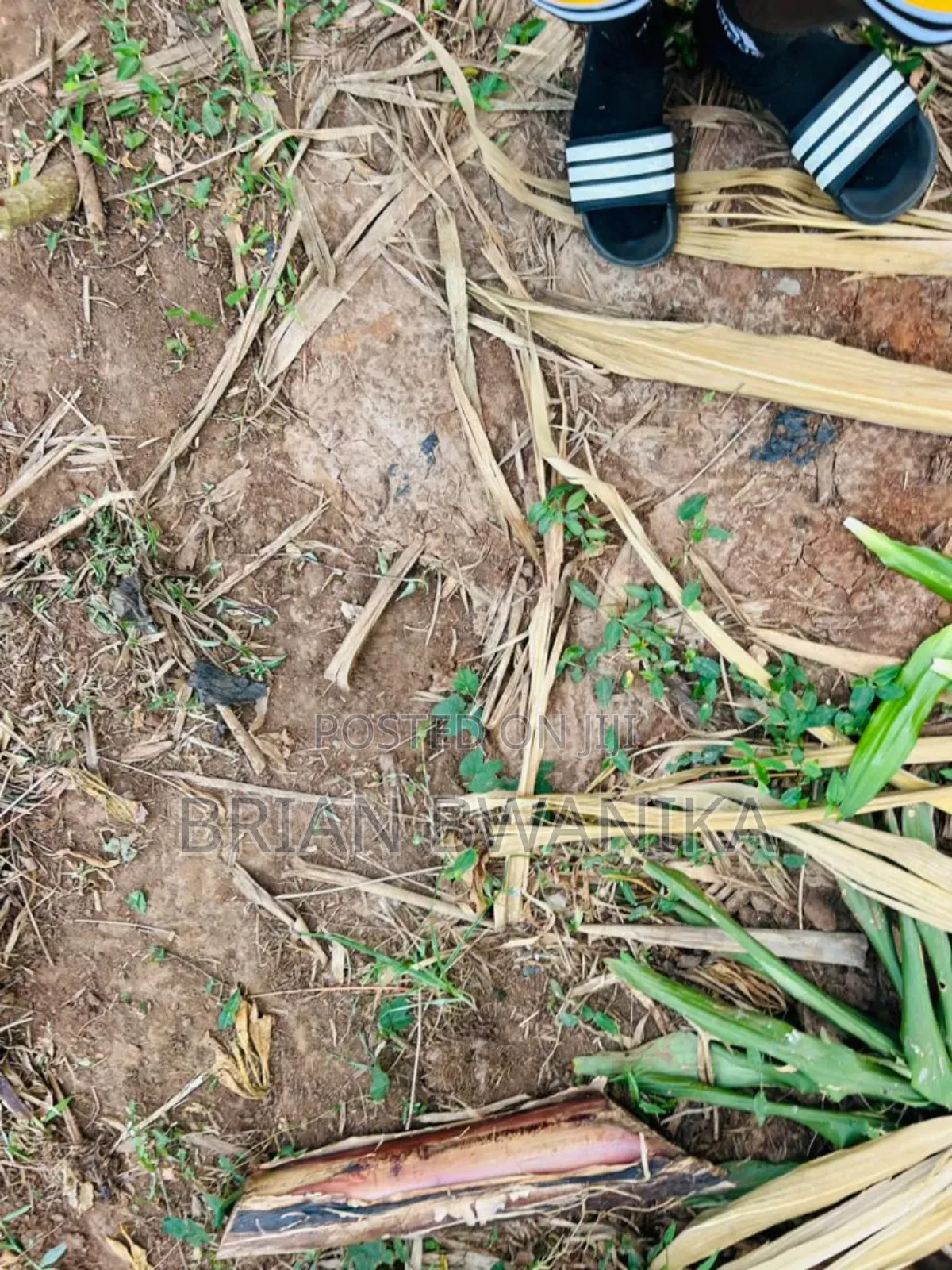 30 by 40 Plot of Land in Buyala- Malube Along Mityana Road in Muduma