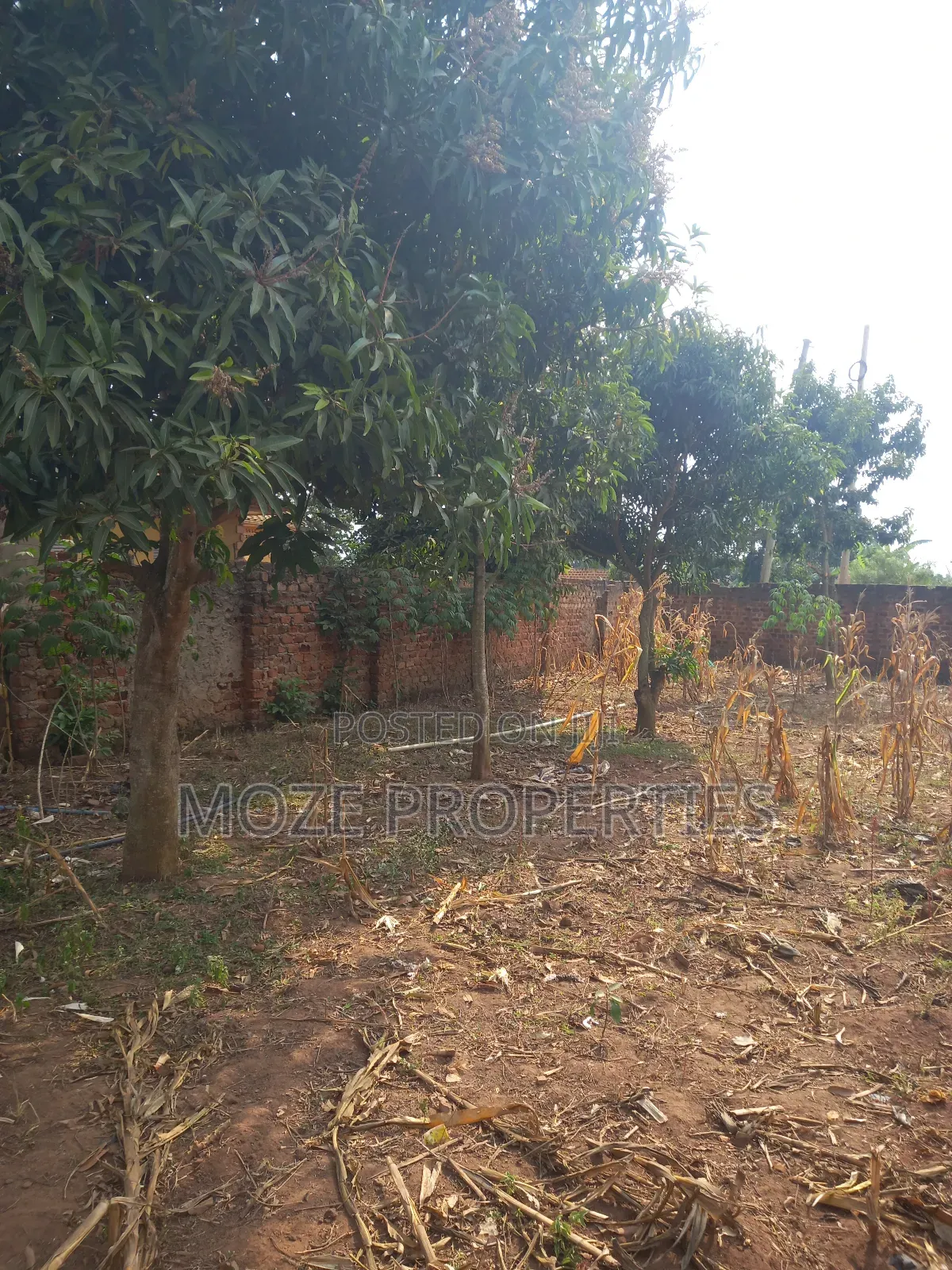 50x100 3 Plots for Sale in Kasangati Nangabo. in Central Division