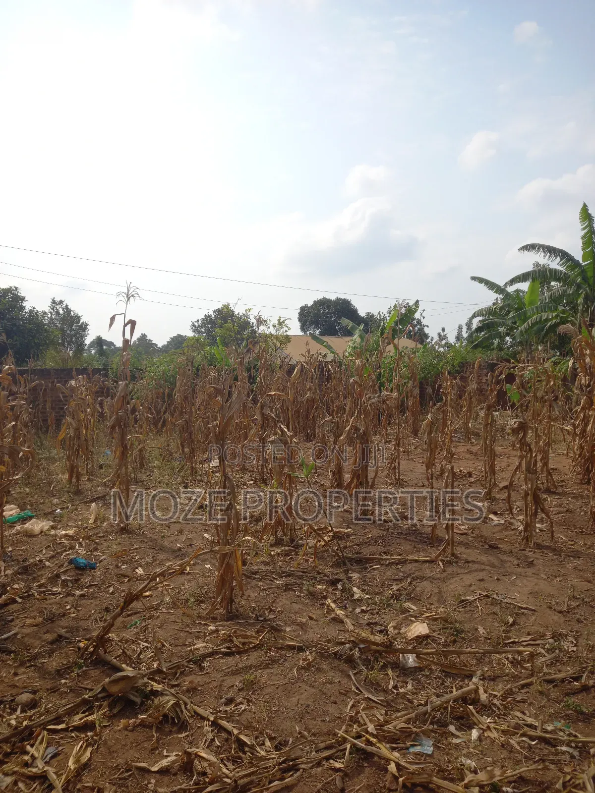 50x100 3 Plots for Sale in Kasangati Nangabo. in Central Division